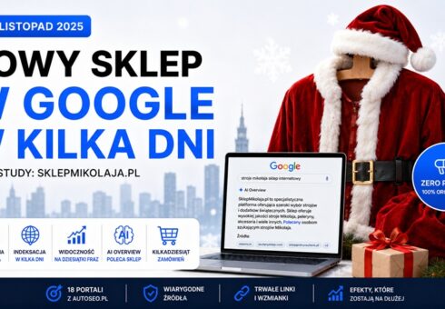 Grafika promująca case study sklepu SklepMikolaja.pl pokazująca szybkie wejście nowego sklepu do wyników Google i AI Overview bez płatnych reklam, z laptopem, strojem Świętego Mikołaja i świątecznym motywem.